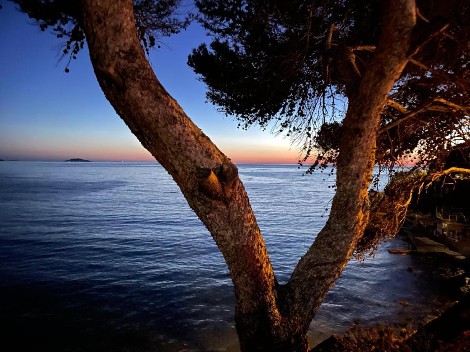 Vacances Bord De Mer - Appartement Sanary Sur Mer Exteriér fotografie